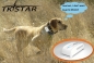 Preview: TKStar mini GPS Tracker Ortung GSM Peilsender Hund Katze Tier Ha