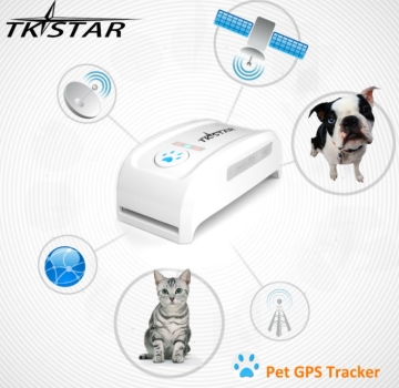 TKStar mini GPS Tracker Ortung GSM Peilsender Hund Katze Tier Ha